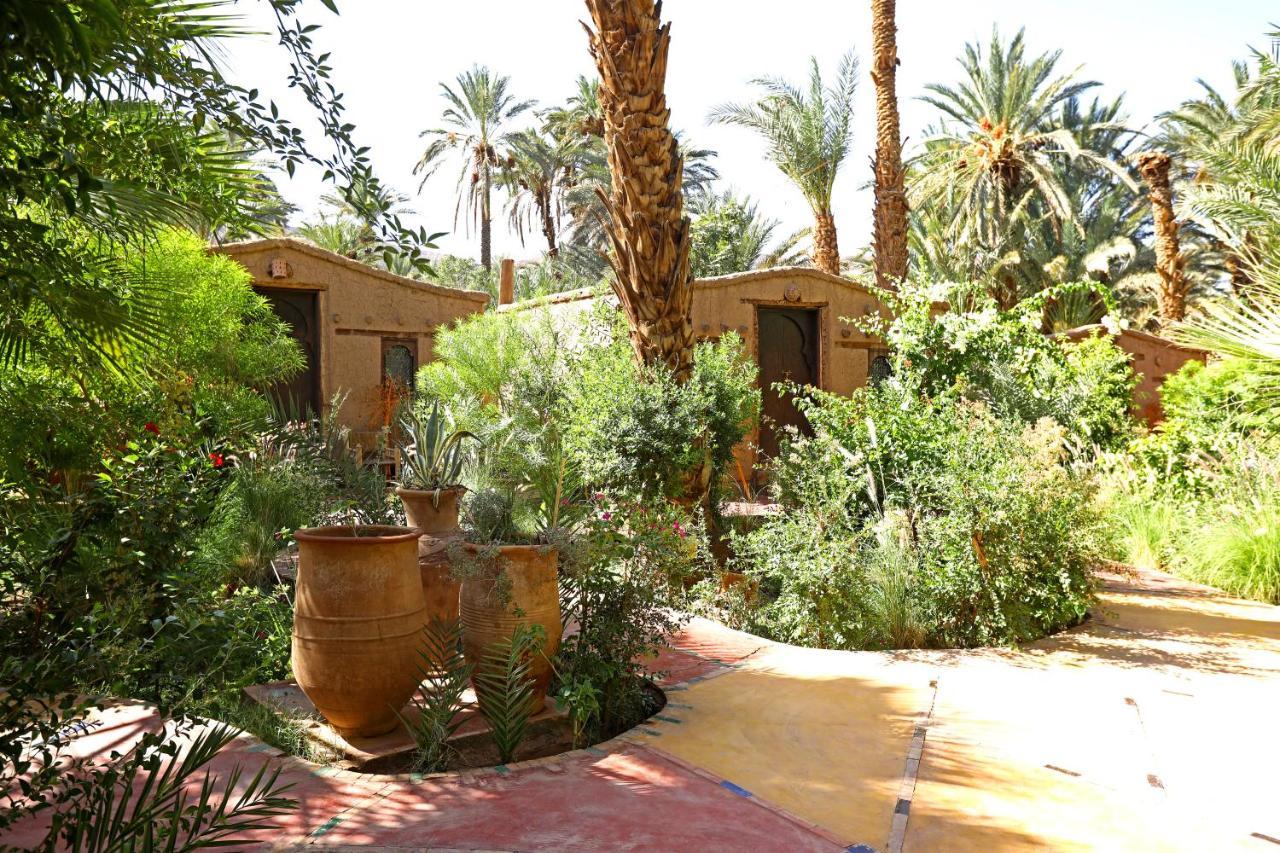 Ecolodge Bab El Oued Maroc Oasis Agdz Eksteriør bilde