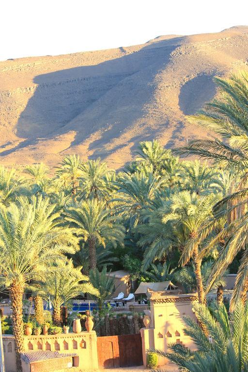 Ecolodge Bab El Oued Maroc Oasis Agdz Eksteriør bilde