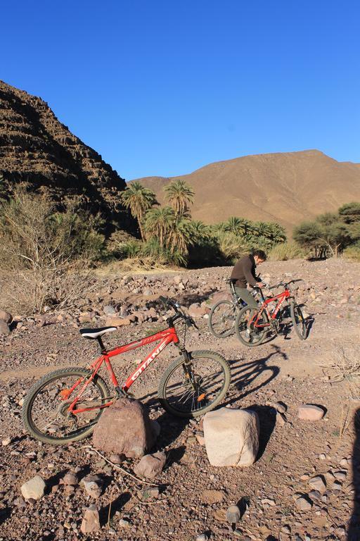 Ecolodge Bab El Oued Maroc Oasis Agdz Eksteriør bilde