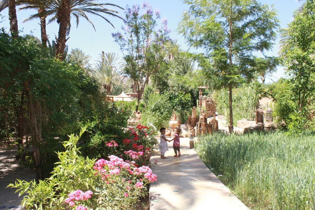 Ecolodge Bab El Oued Maroc Oasis Agdz Eksteriør bilde