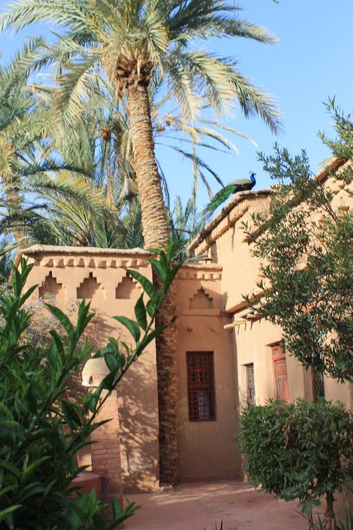 Ecolodge Bab El Oued Maroc Oasis Agdz Rom bilde