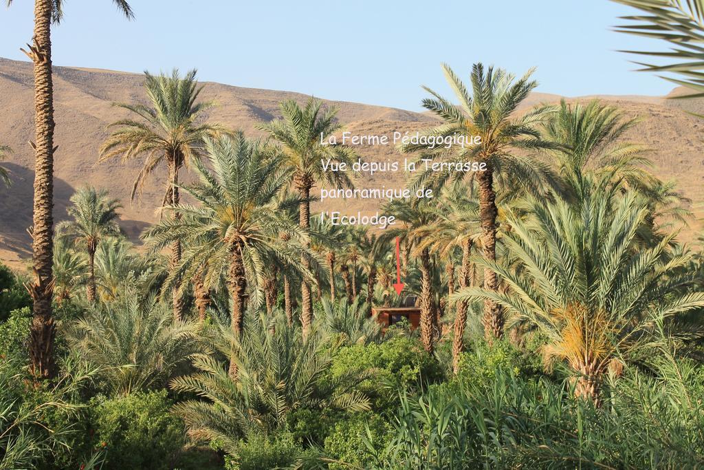 Ecolodge Bab El Oued Maroc Oasis Agdz Eksteriør bilde