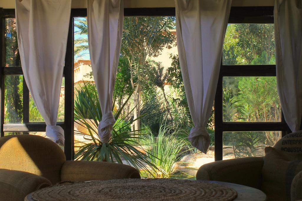 Ecolodge Bab El Oued Maroc Oasis Agdz Eksteriør bilde