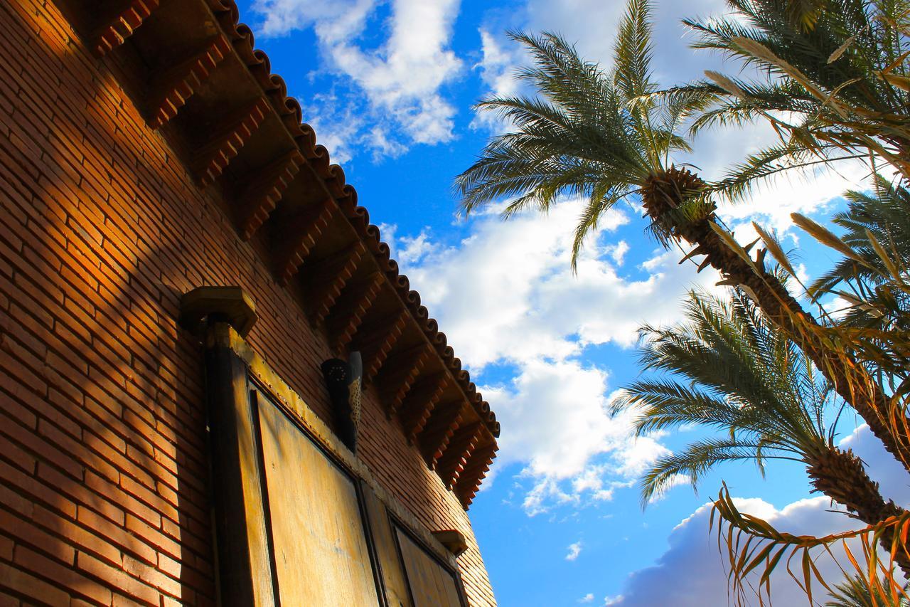 Ecolodge Bab El Oued Maroc Oasis Agdz Eksteriør bilde