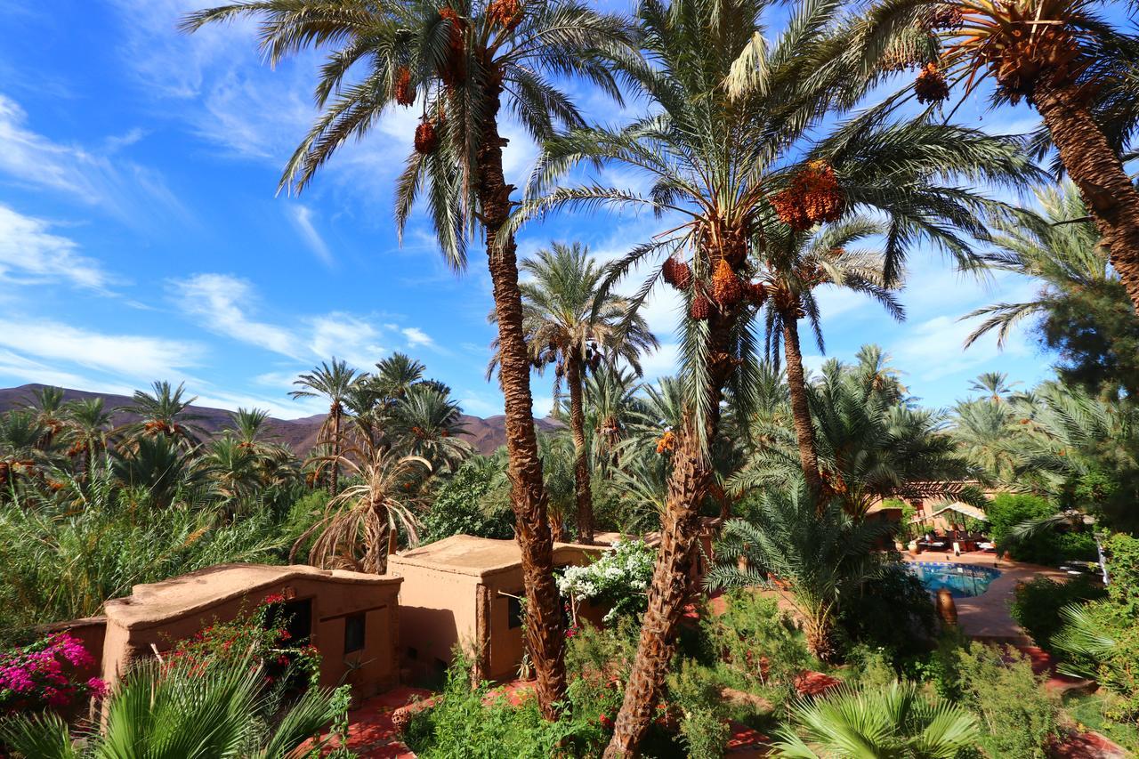 Ecolodge Bab El Oued Maroc Oasis Agdz Eksteriør bilde