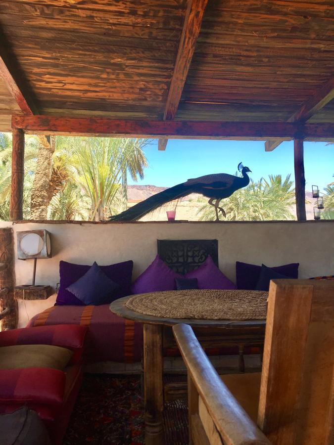 Ecolodge Bab El Oued Maroc Oasis Agdz Eksteriør bilde