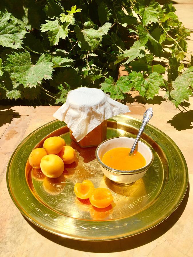 Ecolodge Bab El Oued Maroc Oasis Agdz Eksteriør bilde