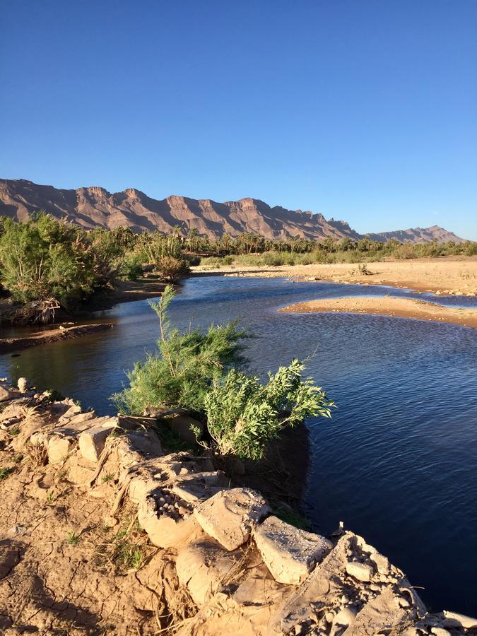Ecolodge Bab El Oued Maroc Oasis Agdz Eksteriør bilde