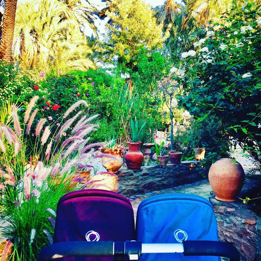 Ecolodge Bab El Oued Maroc Oasis Agdz Eksteriør bilde
