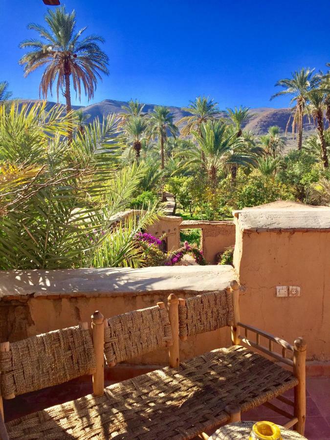 Ecolodge Bab El Oued Maroc Oasis Agdz Eksteriør bilde